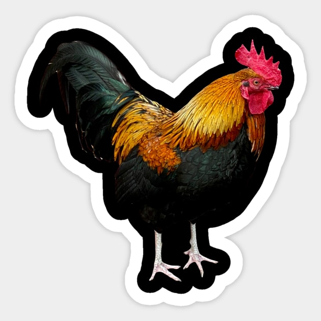 Colorful rooster Sticker by Dillyzip1202